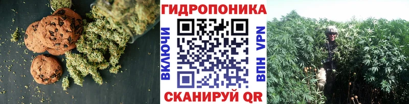 Canna-Cookies конопля  blacksprut сайт  Карпинск 