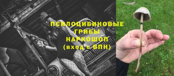 гидра Абдулино