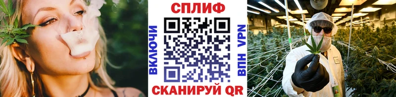 МАРИХУАНА гибрид  Карпинск 